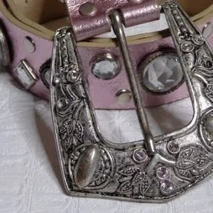 Leather Rock Pink Metallic Belt Leather Rock | Accessories | Leather Rock Pink Metallic Belt  main image 2
